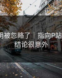 官方说明被忽略了｜指向P站网页版｜结论很意外