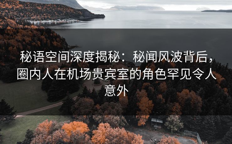 秘语空间深度揭秘：秘闻风波背后，圈内人在机场贵宾室的角色罕见令人意外