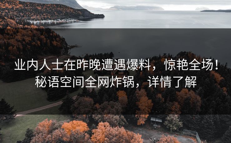 业内人士在昨晚遭遇爆料，惊艳全场！秘语空间全网炸锅，详情了解