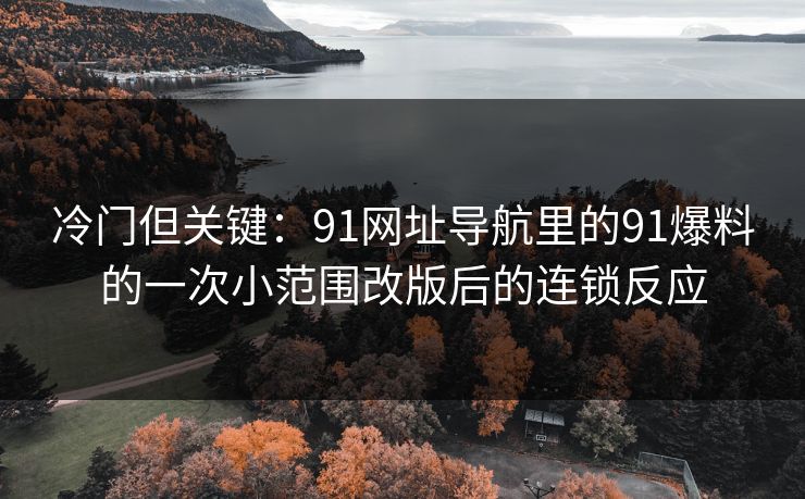 冷门但关键:91网址导航里的91爆料的一次小范围改版后的连锁反应 冷门但关键:91网址导航里的91爆料的一次小范围改版后的连锁反应