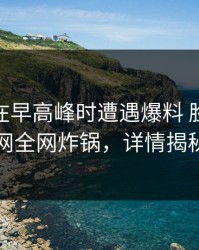 神秘人在早高峰时遭遇爆料 脸红，91网全网炸锅，详情揭秘
